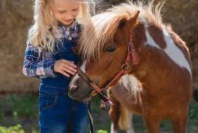 Tout est prêt pour la fête de l’étang de la Hosse d' Horsarrieu, marché des producteurs de Pays à Onesse-Laharie et  la Médiathèque à la plage au courant de Mimizan !