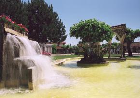 Un record a battre en pays de Born !