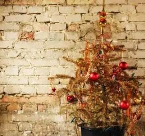 C'est la der' de l'année, bonne fête Sylvestre, bye bye 2024, que ferez-vous du sapin? Bon réveillon à l'écoute d' Enjoy40 !