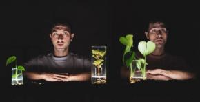 L'info de ce 03 décembre avec du théatre très original « Il faut cultiver notre jardin », concours de pétanque et "Lecture dynamique" à vieux Boucau et Bordères-et-Lamensans en effervescence aussi pour le téléthon !