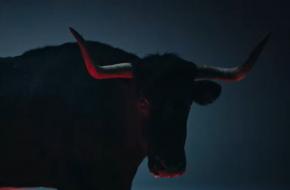 Un toro du 40 dans le dernier clip de Gims, du théâtre à Labenne au profit d'octobre rose et Movember, on recrute des bénévoles pour la banque alimentaire et place du marché fermée ce week-end à Sanguinet.